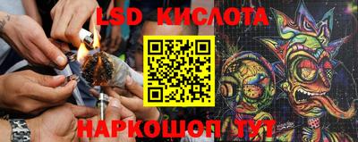 спайс Краснодар