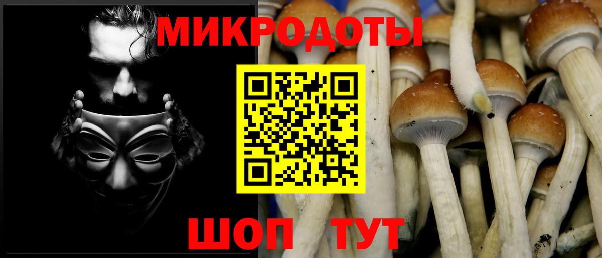 Псилоцибиновые грибы мухоморы  Галлюциногенные грибы Psilocybine cubensis  Чита  Вход с VPN 