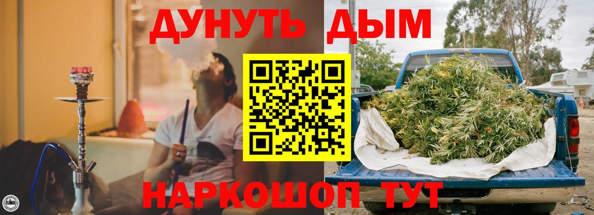 Бошки марихуана сатива  МАРИХУАНА планчик  Вход с VPN  Чита  Канабис гибрид 
